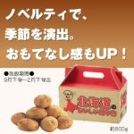 大地の恵み　北海道産じゃがいも800g