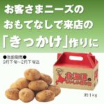 大地の恵み　北海道産じゃがいも1kg