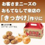 北海道じゃがたま1kgセット