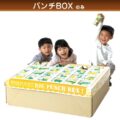 BIGパンチBOX（BOXのみ）