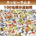 【追加用】フーセンガムいろいろつかみどりプレゼント（100名様用）