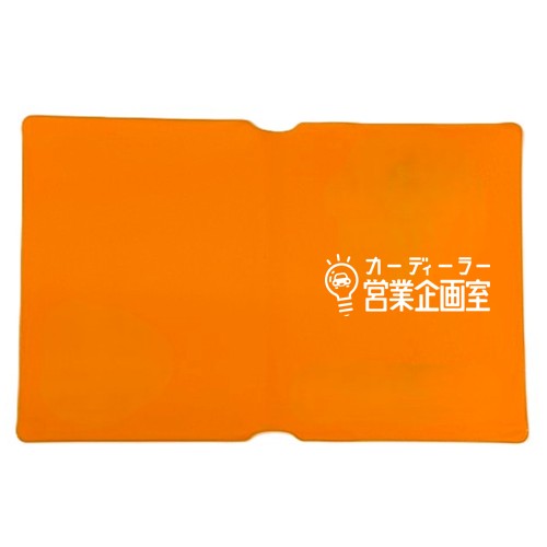 MRS-260002