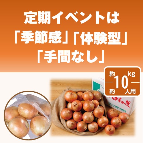 北海道産玉ねぎ詰め放題キット10kg(約10人用)