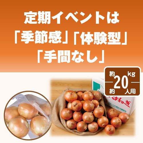 北海道産玉ねぎ詰め放題キット20kg(約20人用)